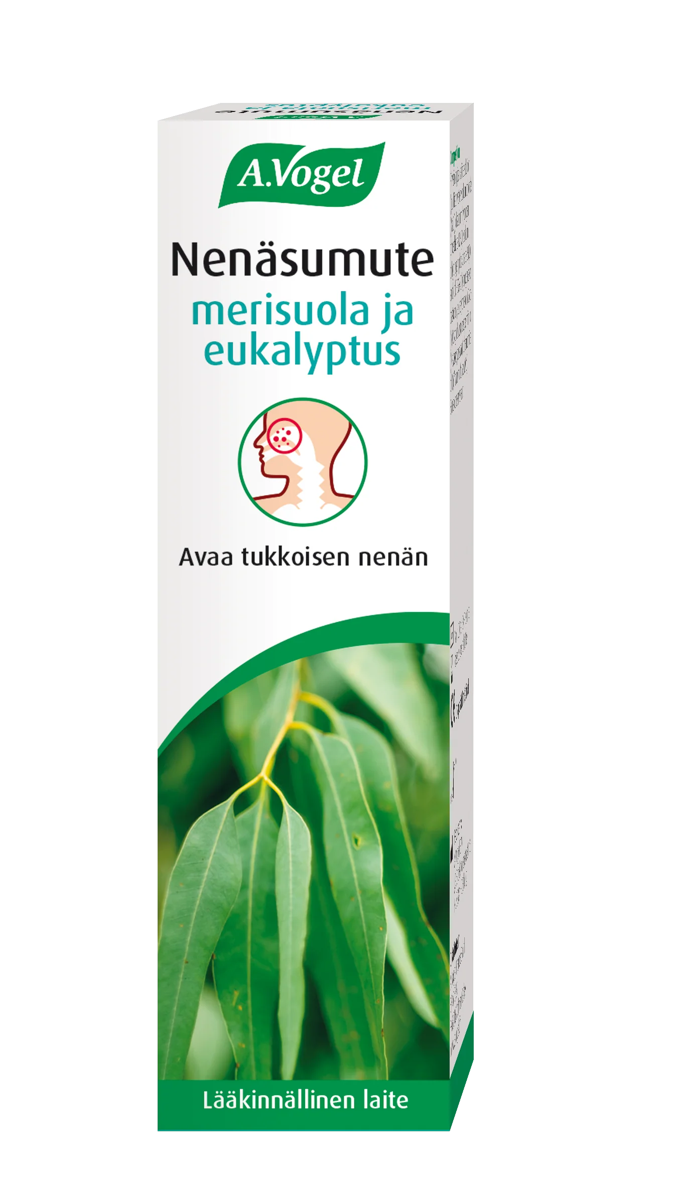 Pikkukuva 2